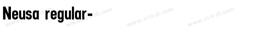 Neusa regular字体转换